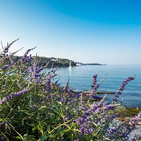 & Anita * Rovinj