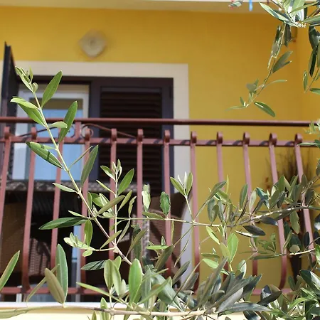 Apartman & Anita *